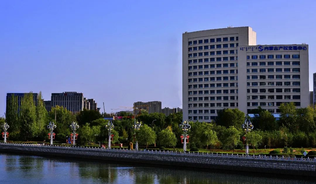 打造“阳光市场” 助力国有资产“存量”变“增量”