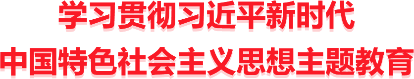 学习贯彻习近平新时代 中国特色社会主义思想主题教育